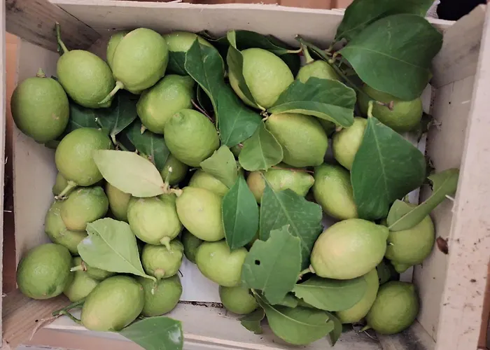 Peaceful With Beautiful Sea View Apartament *